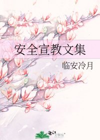 安全宣教文集
